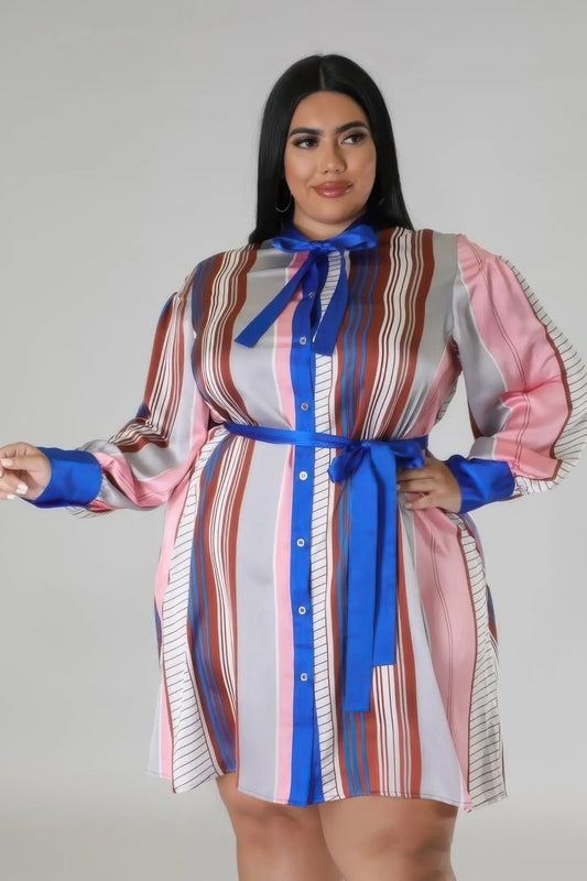 Plus size model wearing brown and blue long sleeve non-stretch dress front view